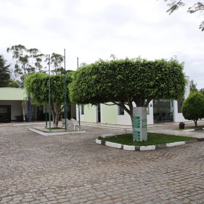 Jardim