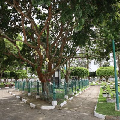 Jardim4
