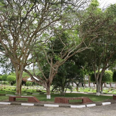 Jardim5