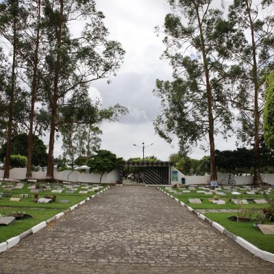 Jardim6