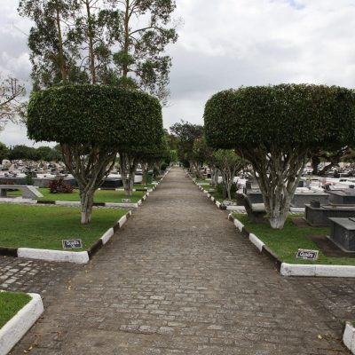 Jardim7