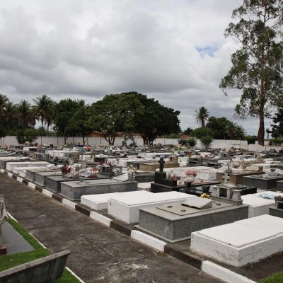 Jardim8